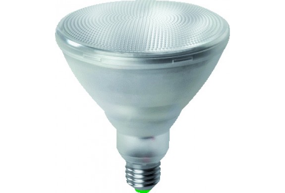 PAR38 LED